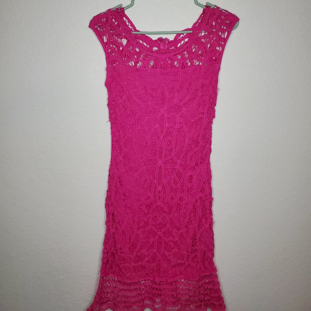 Pink Lace Dress by International Concepts